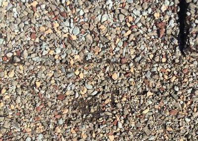 Roof Shingle Hail Damage