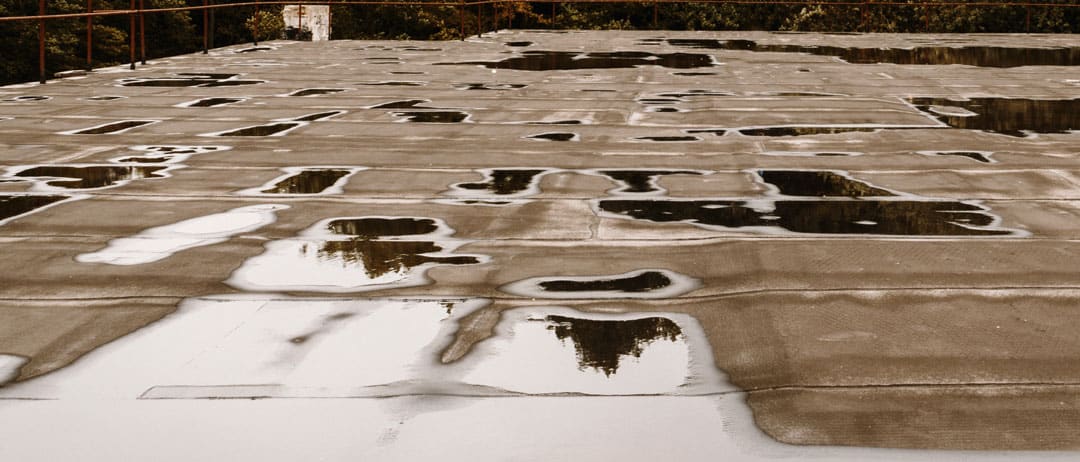 Standing Water on Roof