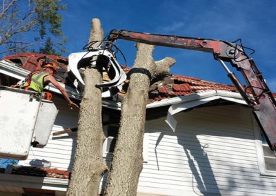 Repair Catastrophic Roof Tree Damage