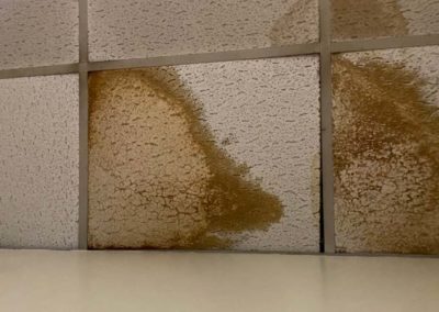 Ceiling Water Spots From Roof Leak