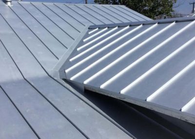 Metal Roof Up Close