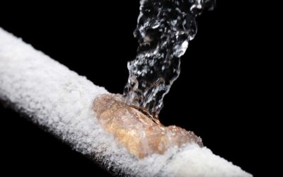 A Frozen Water Pipe Flooded My Building (Now What?)