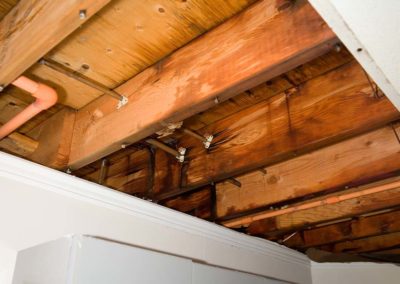 Wet Wood in Ceiling