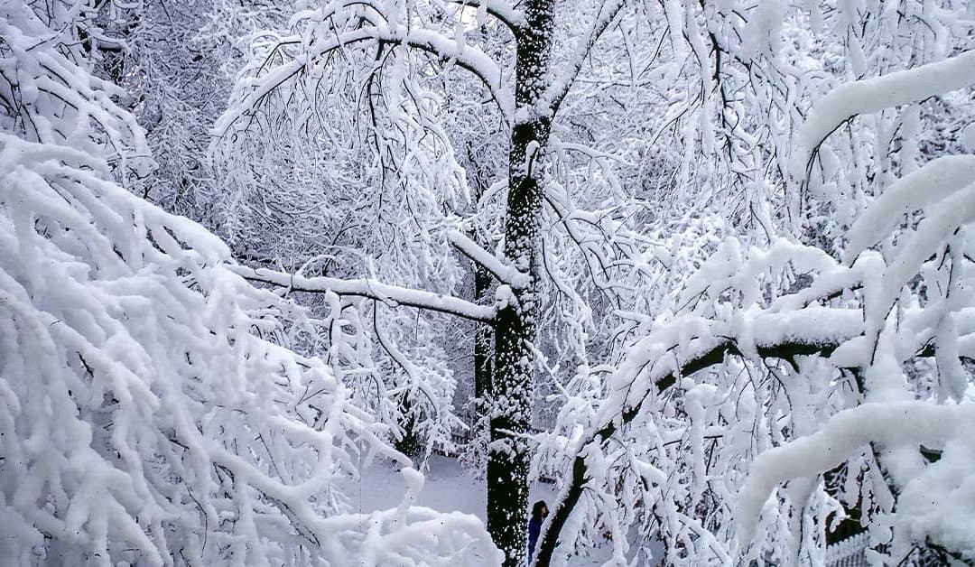 Missouri Water Damage Restoration & Removal (Emergency Services for 2021 Winter Storms)