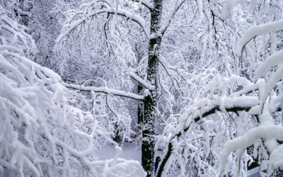 Missouri Water Damage Restoration & Removal (Emergency Services for 2021 Winter Storms)