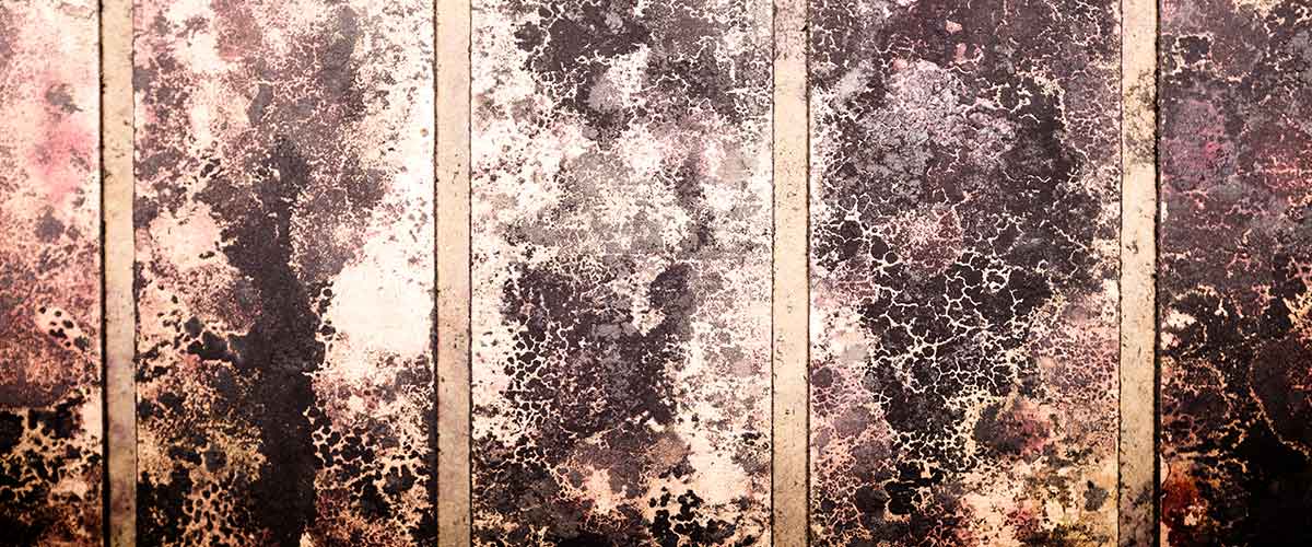 Mold Cleanup and Remediation