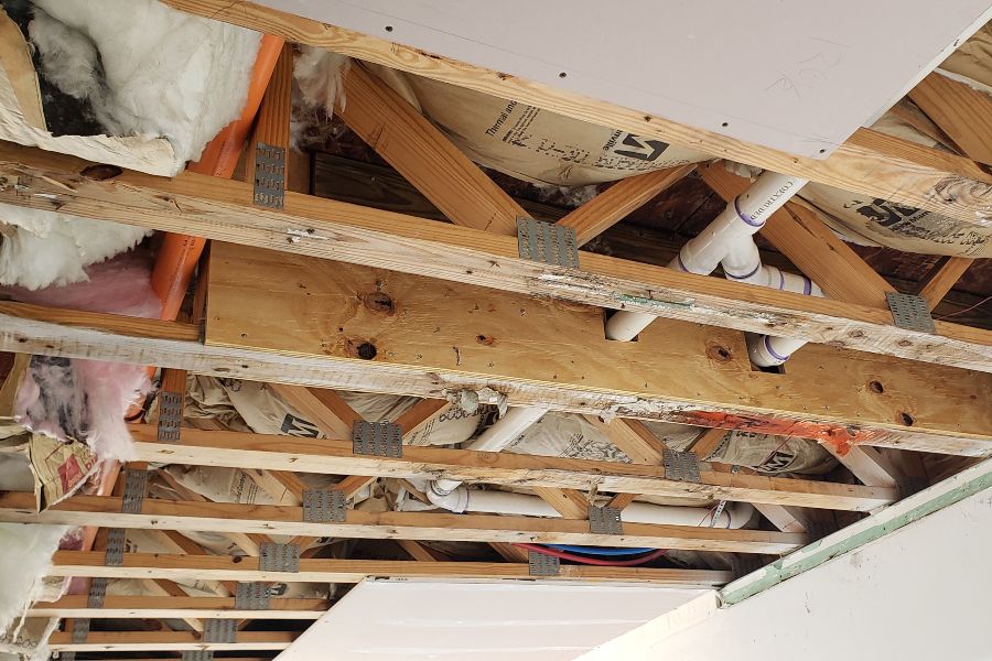 Exterior Building Restoration Trusses