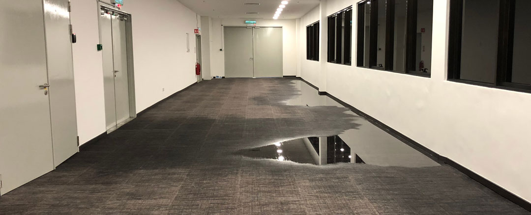 Water Leaking Through Office Walls