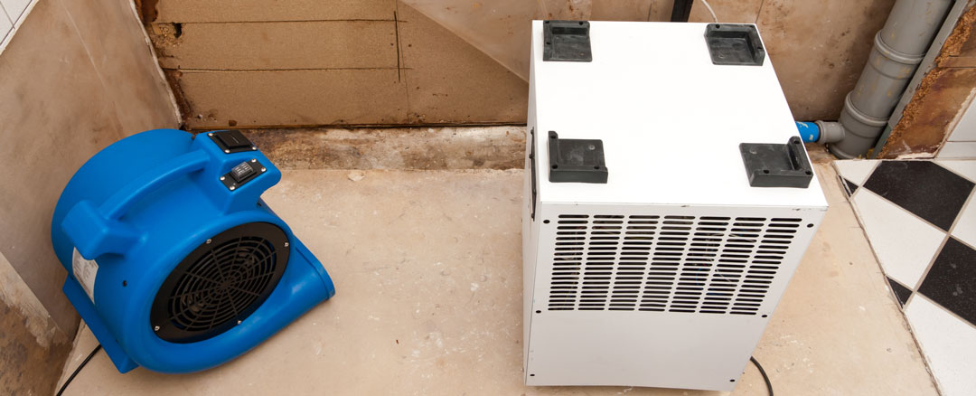 Water Removal Fan & Dryer